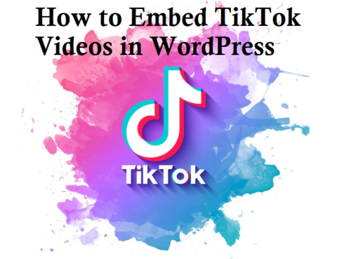 How to Embed TikTok Videos in WordPress