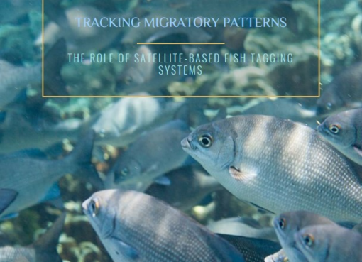 Fish tagging system