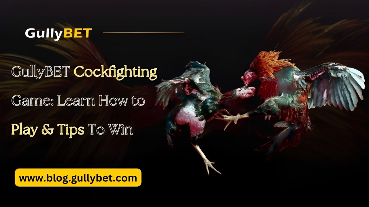 GullyBET Cockfighting Game