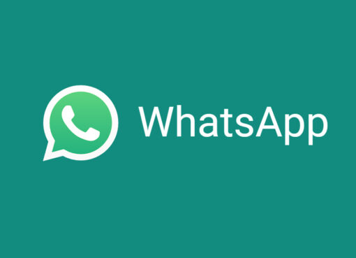 bulk whatsapp marketing in Chennai