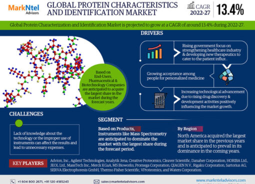 Global Protein Characterization and Identification Market