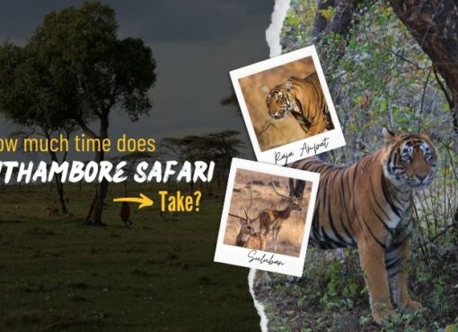 Ranthambore Safari,safari zones, Ranthambore booking 