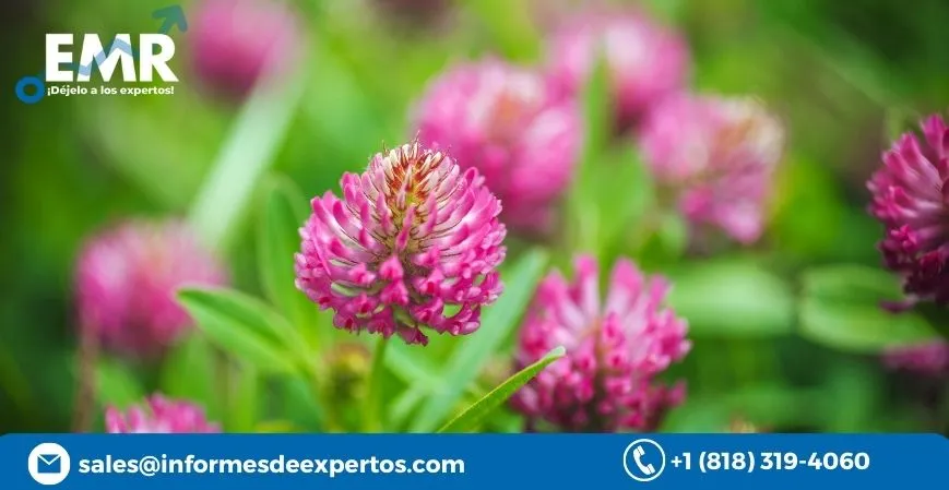 Global Red Clover Market