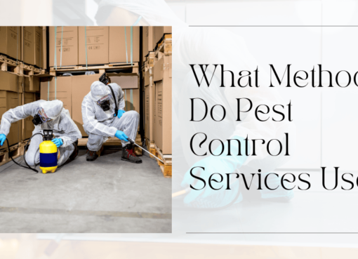 pest control service sharjah