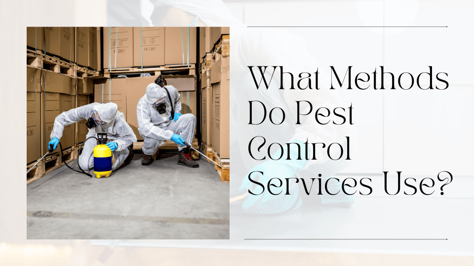 pest control service sharjah