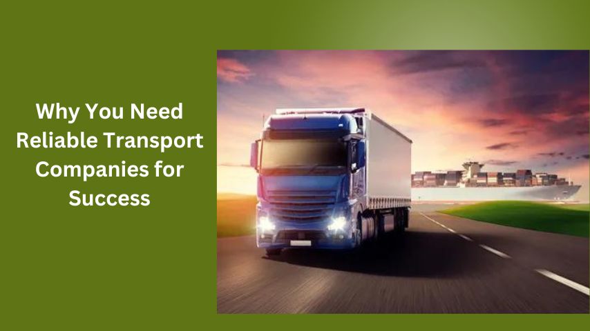 Why You Need Reliable Transport Companies for Success