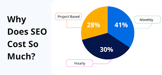 SEO company in Udaipur