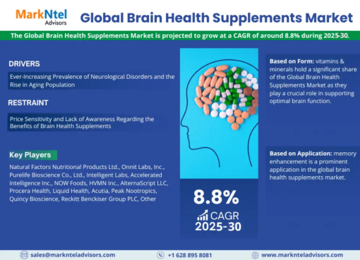 Global Brain Health Supplements Market