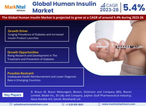 Global Human Insulin Market