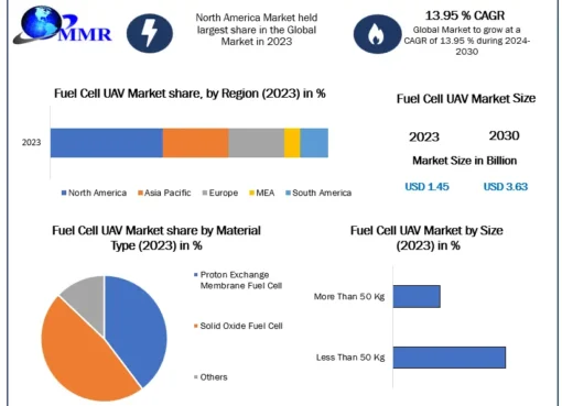 Fuel Cell UAV Market