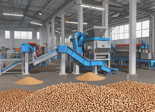 Cashew Nut Processing Plant