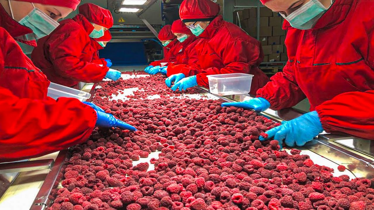 Raspberry Processing Plant