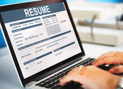 professional resume for job seekers