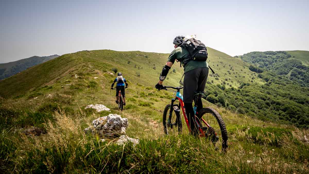 Find Din Næste MTB Tur – Udforsk Skove og Landskaber