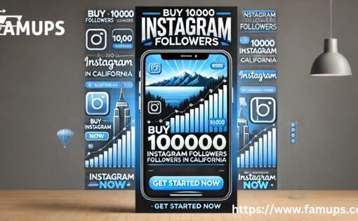 Buy 10000 Instagram Followers in California