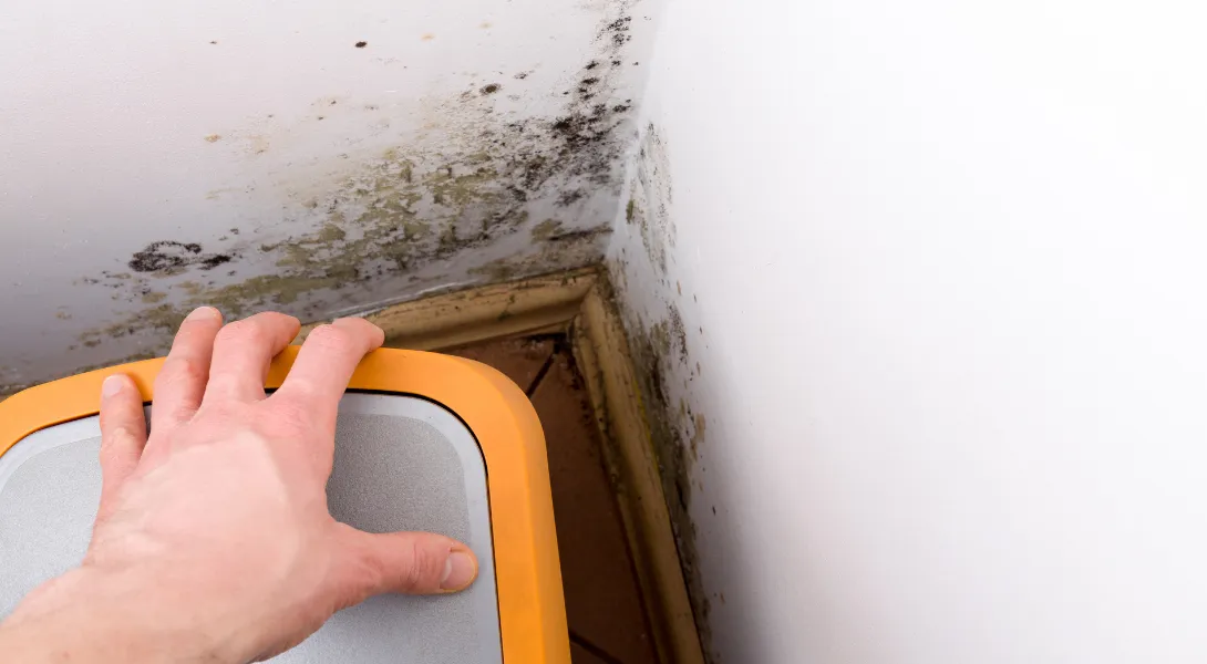 Why Mold Testing in Redondo Beach is Key to Maintaining Healthy Indoor Air Quality
