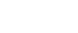 projectreport