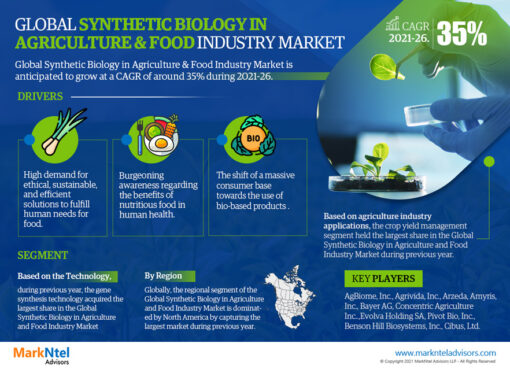 Global Synthetic Biology in Agriculture & Food Market