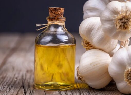 garlic oil bulk suppliers