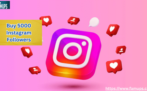 Best Sites to Buy 5000 Instagram Followers