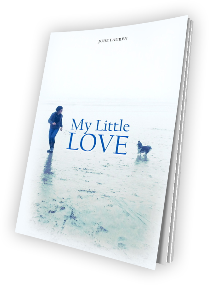 Book On Love by Writer Jude Laurén