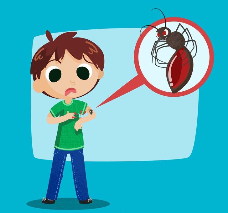 How Malaria Spreads and What You Can Do to Prevent It