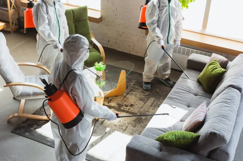 Mold Remediation Services in Marque, TX