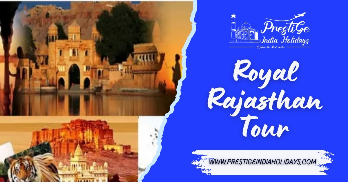 Palaces, Camels & Desert Nights: Inside the Magic of a Royal Rajasthan Tour