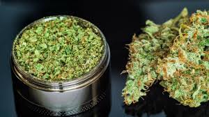 Weed Delivery in Guelph