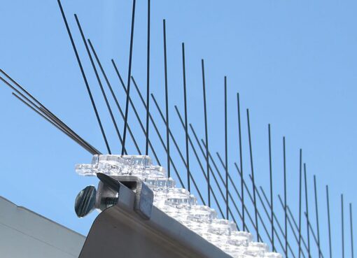 Bird Guard Installation tall in Winnetka, IL