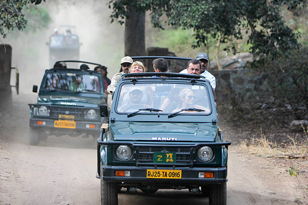 Indian wildlife tour packages