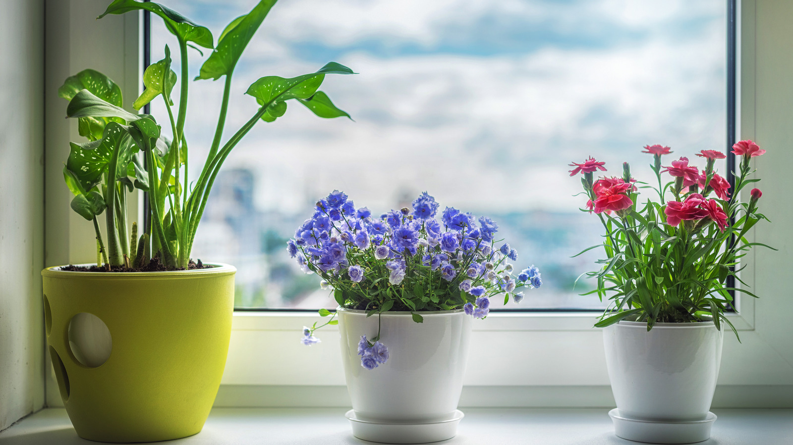 Say It With Flowers: Thoughtful Floral Gift Ideas For Every Occasion In Dubai!