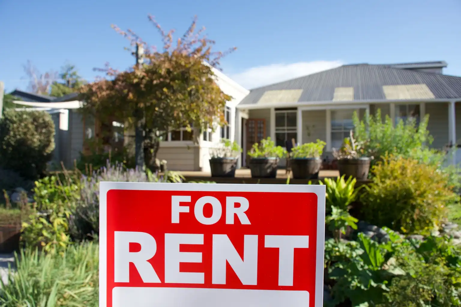 Exploring Different Types of Properties for Rent: Apartments, Houses, and More!