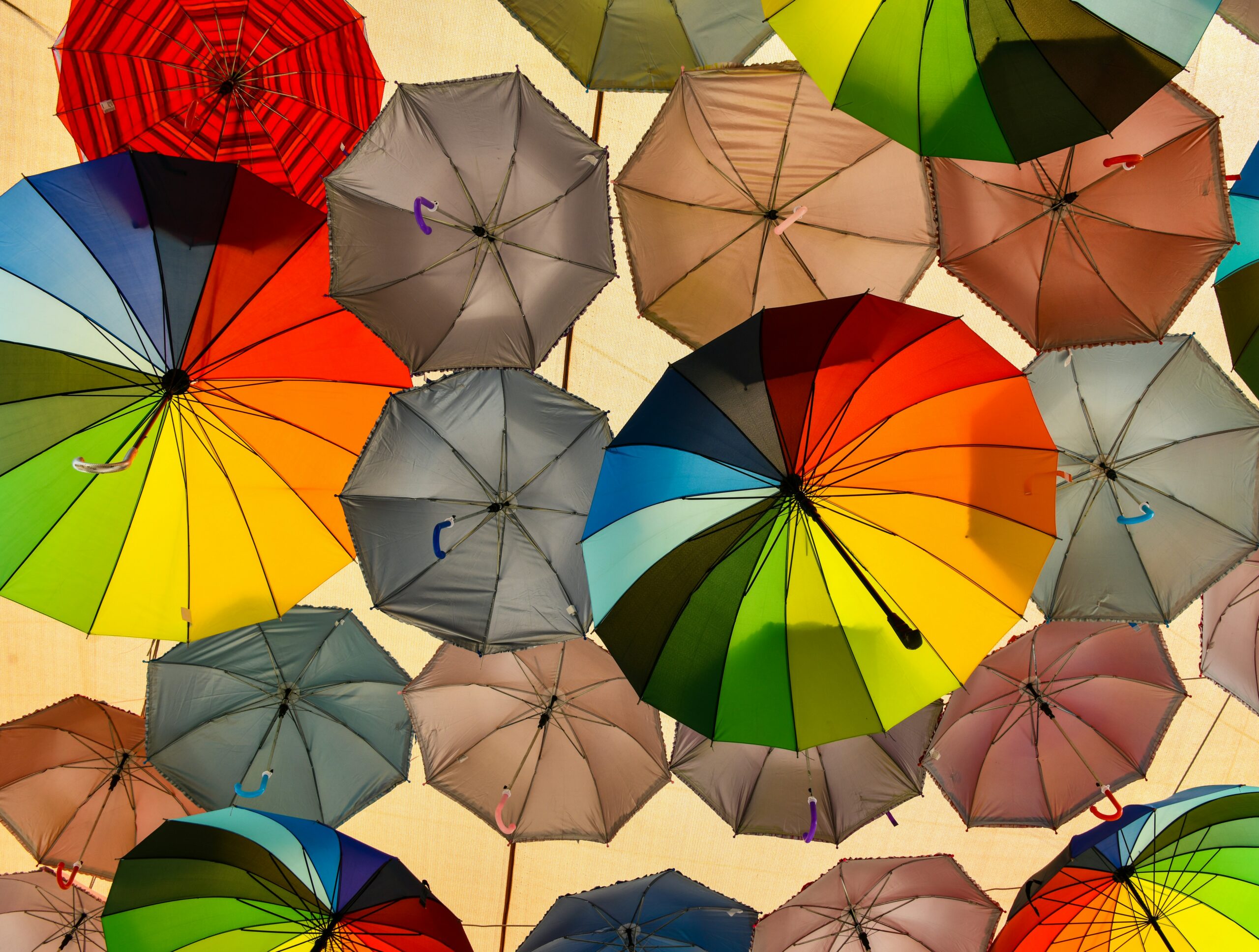 Mini, Dome, or Classic? Top 7 Umbrella Styles That Make a Statement