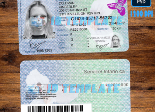 Buy Idaho Driving License PSD Template 2024
