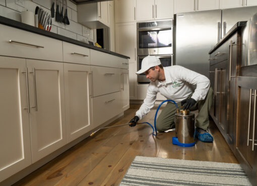 Commercial Pest Control Parma Oh