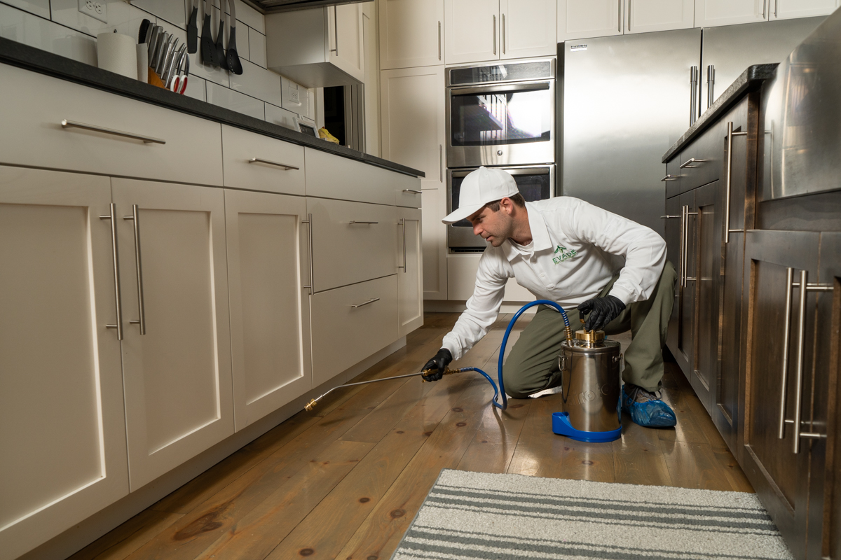 Commercial Pest Control Parma Oh