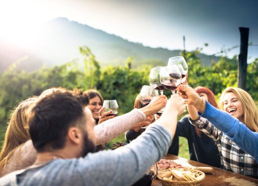 Driftwood Wineries Tour