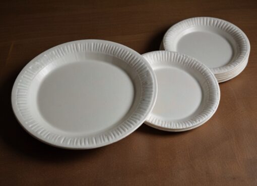 Paper Plates Manufacturing Plant