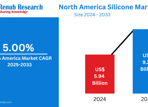 North America Silicone Market