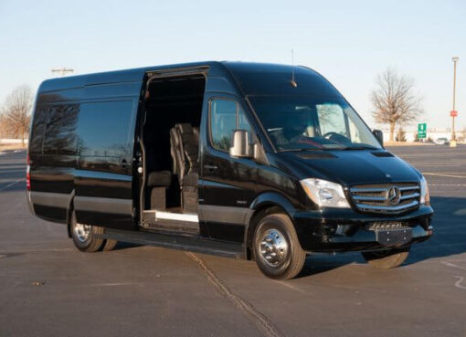 Party Bus Services in Schaumburg