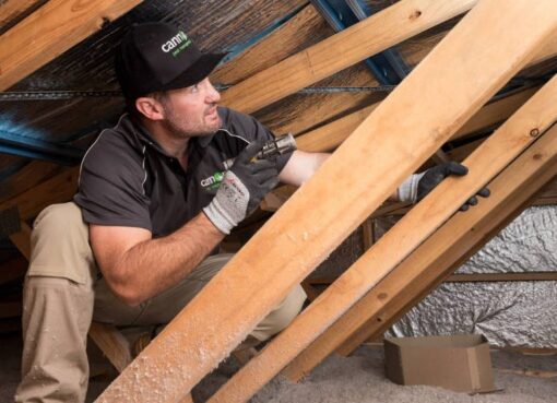 Termite Inspection in New Jersey