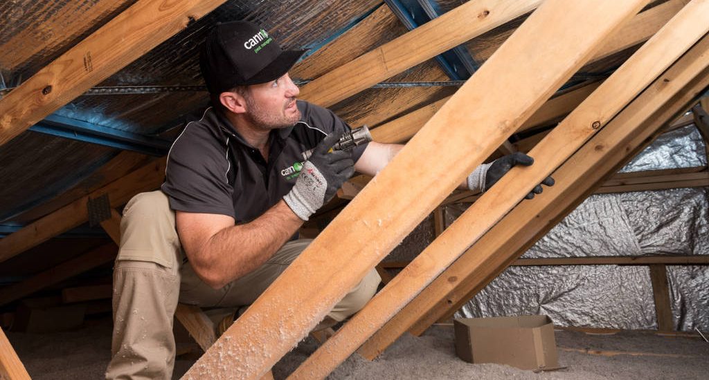 Termite Inspection in New Jersey