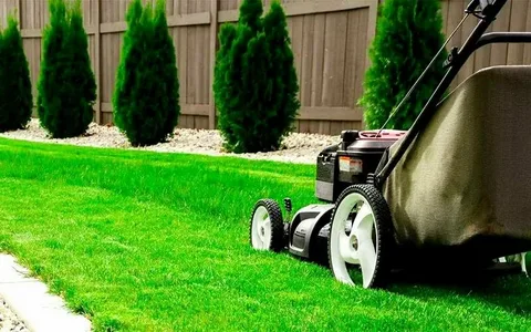 Tree And Lawn Services