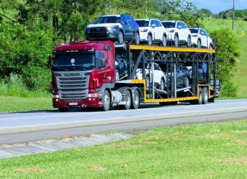 florida's leading auto shipping services