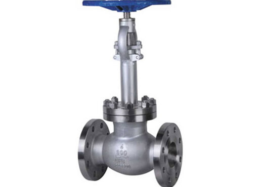 cryogenic globe valve