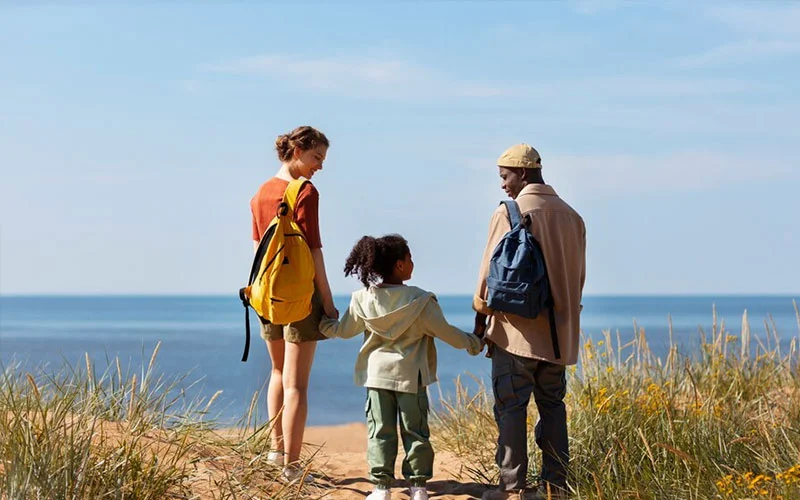 New Zealand PPI Response: What It Means & How It Affects Family Visa Applicants