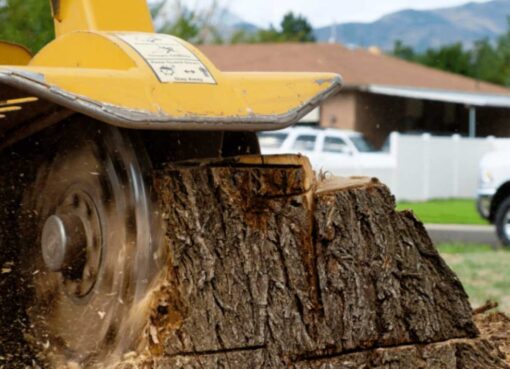 stump grinding
