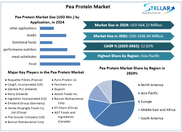 Pea Protein Market Competitive Landscape, Outlook 2025-2032