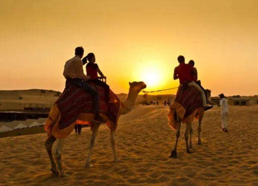 morning desert safari tour on camel
